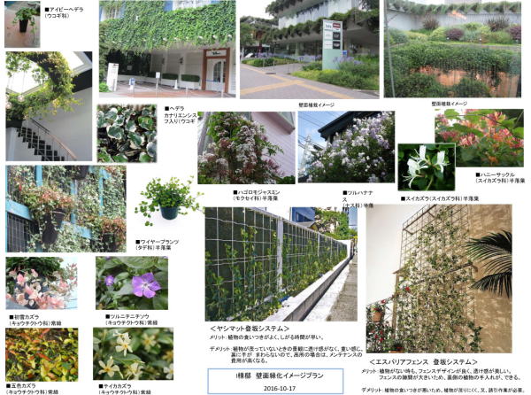 壁面緑化 17 03 つる性花木の壁面緑化 愛知県名古屋市 薄層 軽量mp緑化