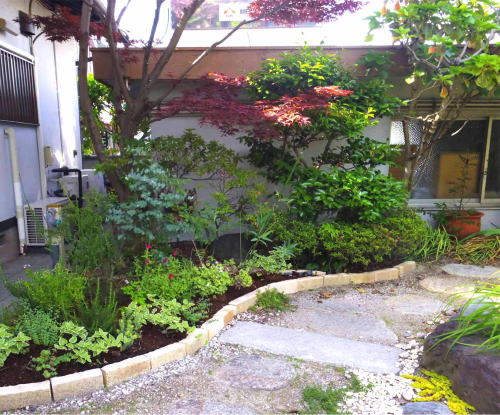 施工例 戸建て住宅ガーデン 和庭mpハーブガーデン 愛知県あま市 薄層 軽量mp緑化
