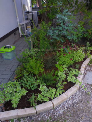 施工例 戸建て住宅ガーデン 和庭mpハーブガーデン 愛知県あま市 薄層 軽量mp緑化